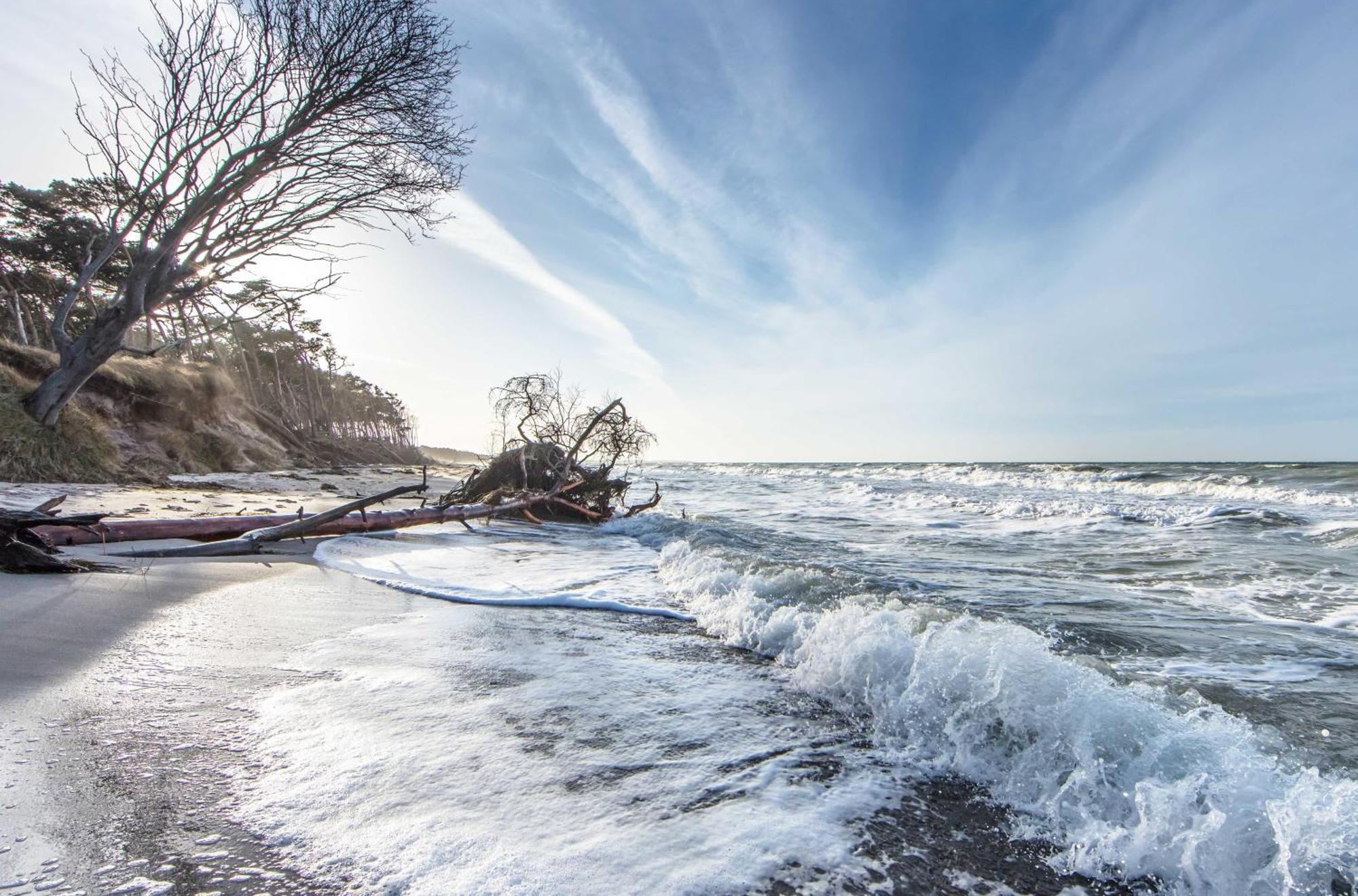 Leuchtturm An Der Seebruecke Zingst Luaran gambar