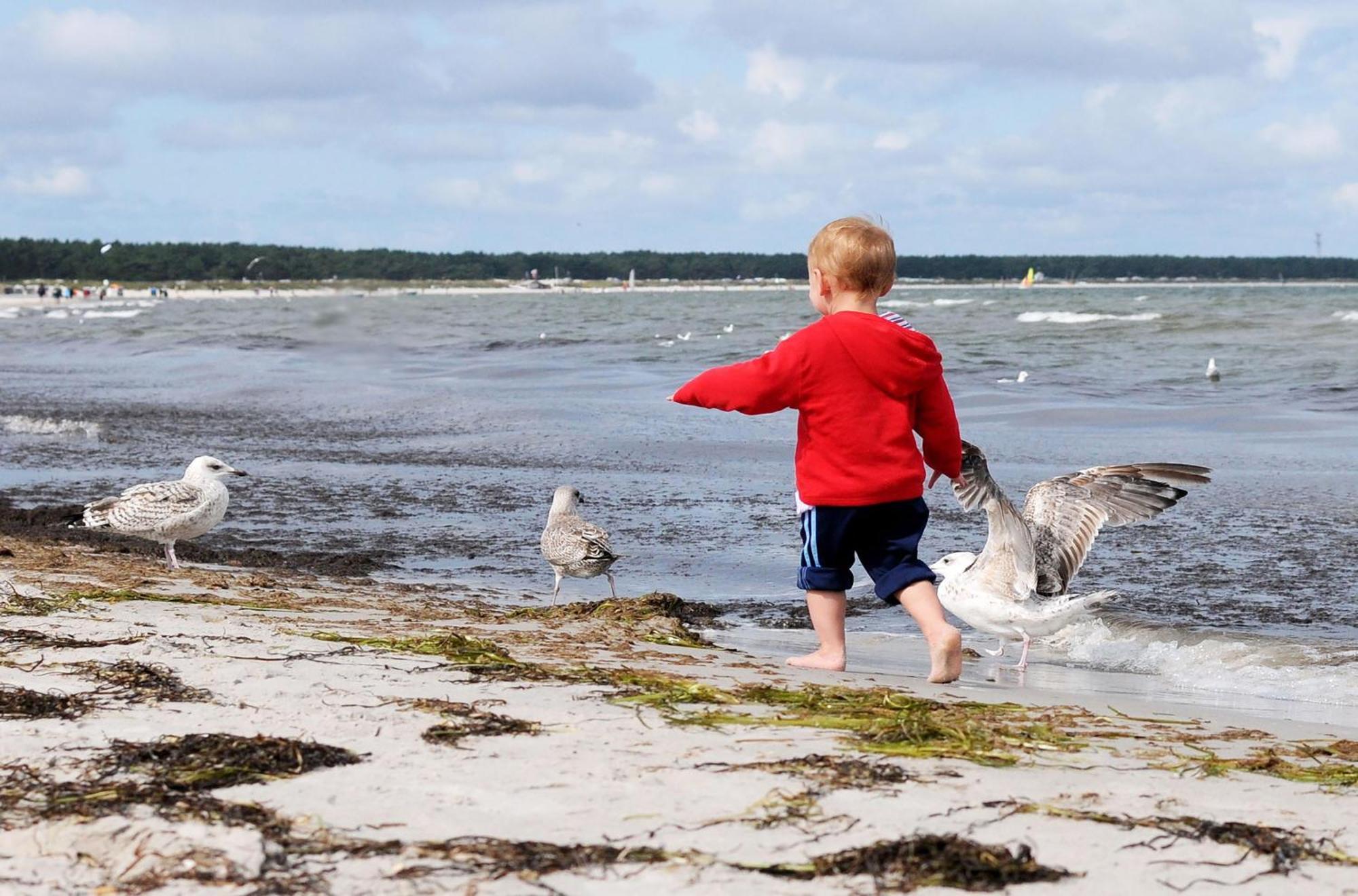 Leuchtturm An Der Seebruecke Zingst Luaran gambar